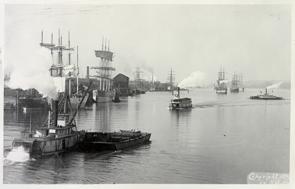 Portland Harbor in 1899