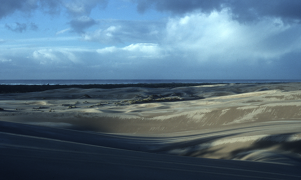 Sand Dunes near Eel Creek, 1988