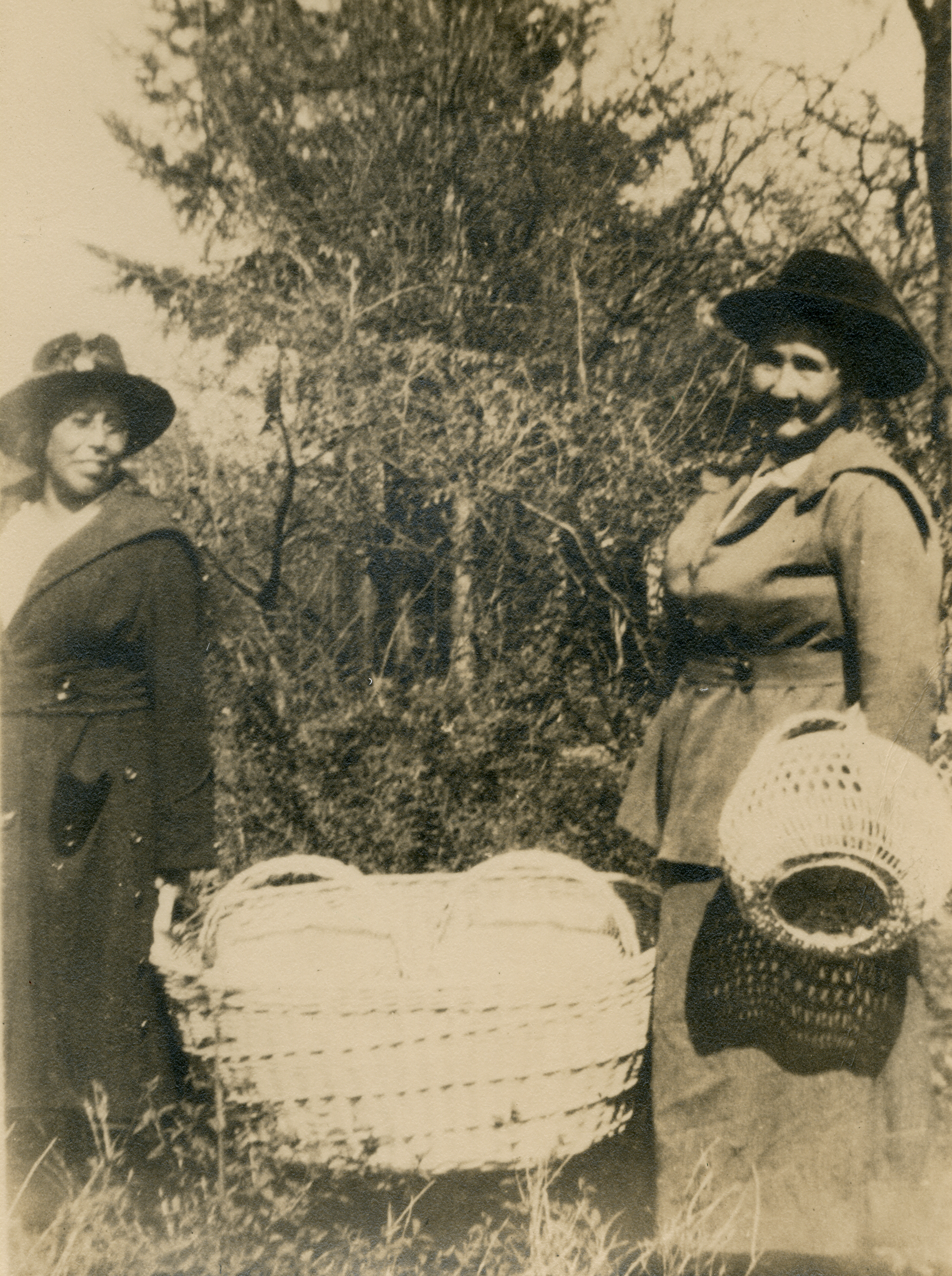 When fully processed, shoots were used to make open-weave baskets and utilitarian ware geared largely to the white market.