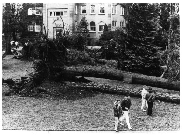 Aftermath at the University of Oregon campus