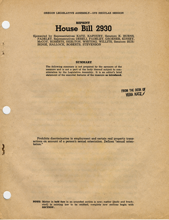 Gay and lesbian rights movement (essay)