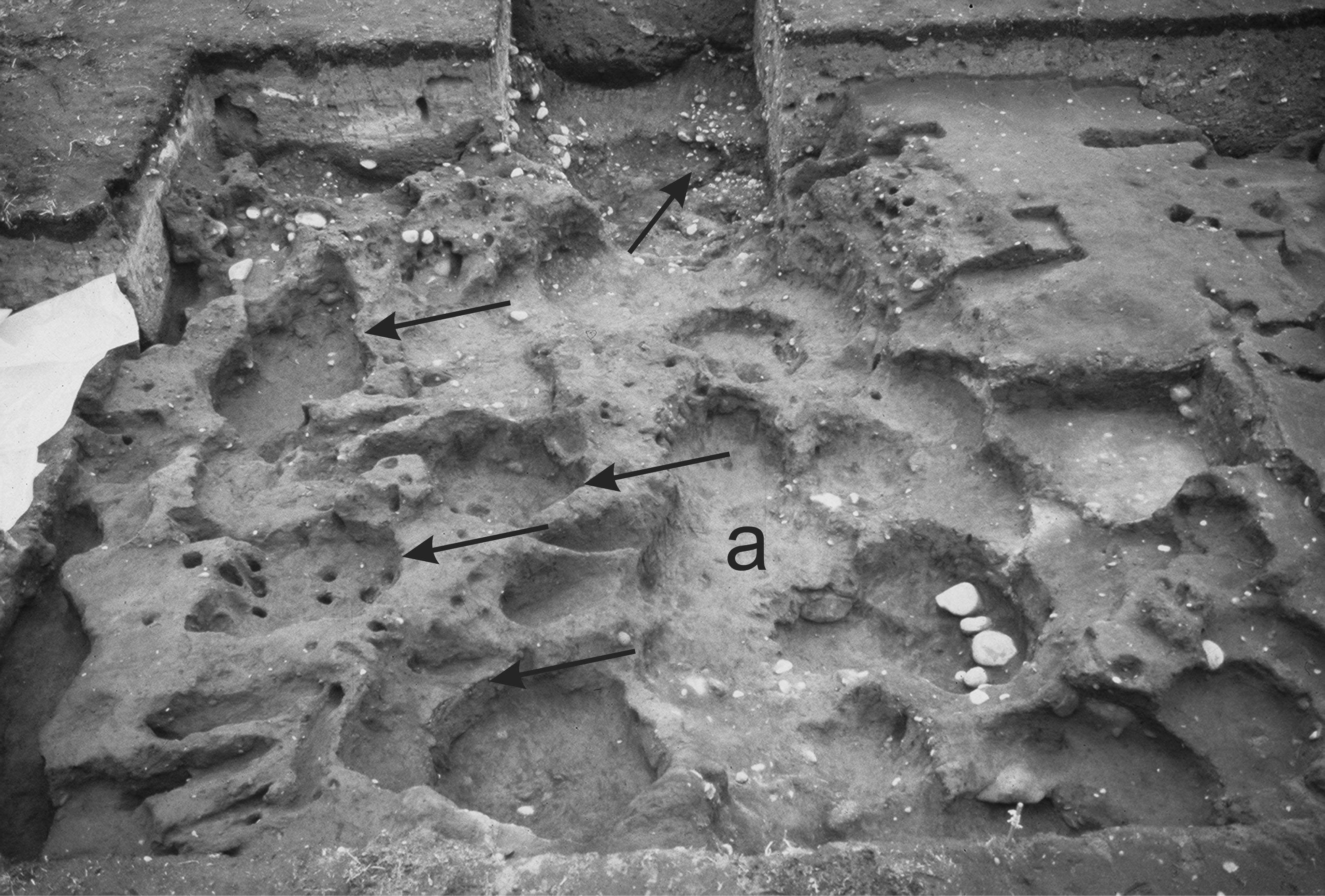 Meier Site