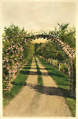 Ambleside Summer Homes Tract