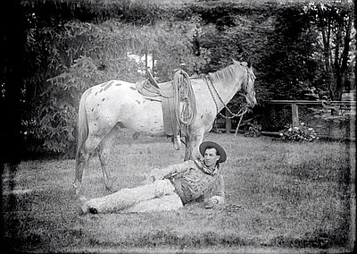 Appaloosa horse breed