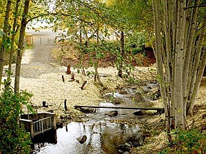 Beeson-Robison Ditch