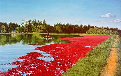 Cranberry Industry