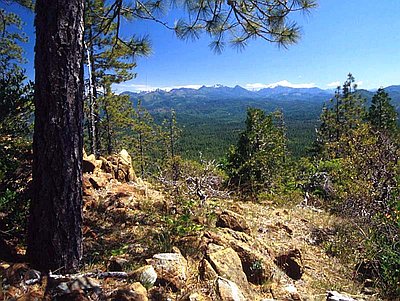 National Forests in Oregon, 1892 to 1933 (essay)