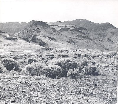 Alvord Desert