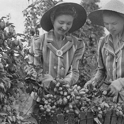 Hop Industry