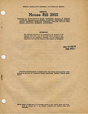Gay and lesbian rights movement (essay)