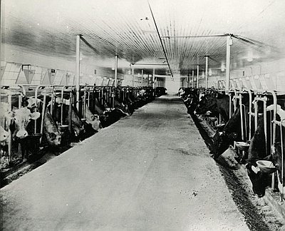 Alpenrose Dairy