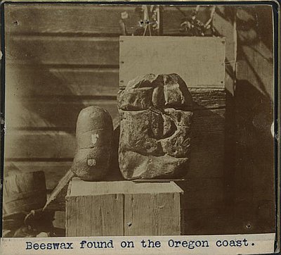 Beeswax shipwreck