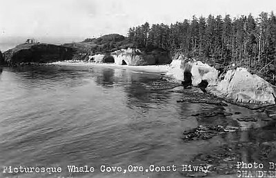 Whale Cove