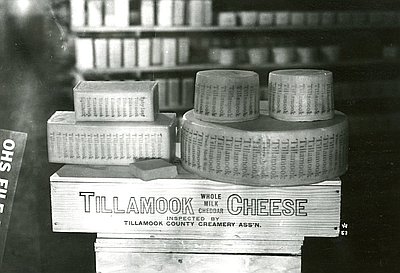 Tillamook Cheese